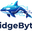 RidgeByte logo